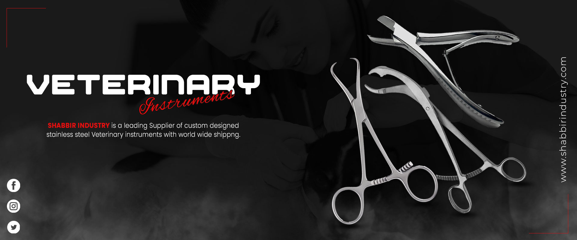 Veterinary instruments